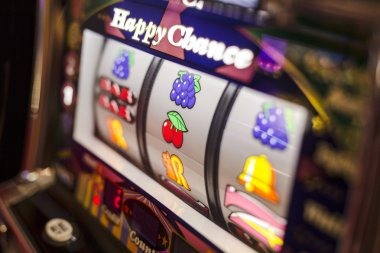 wigobet live-dealer studio with multiple camera angles showing real-time game outcomes